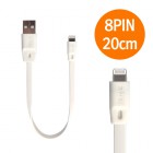 Ʈ 20cm ̴ ̺ - ھ 8